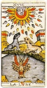 "new moon in leo"
