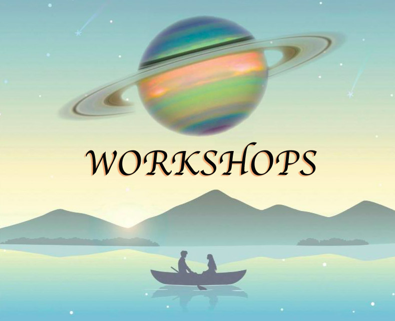 Need Aliza to run a workshop?